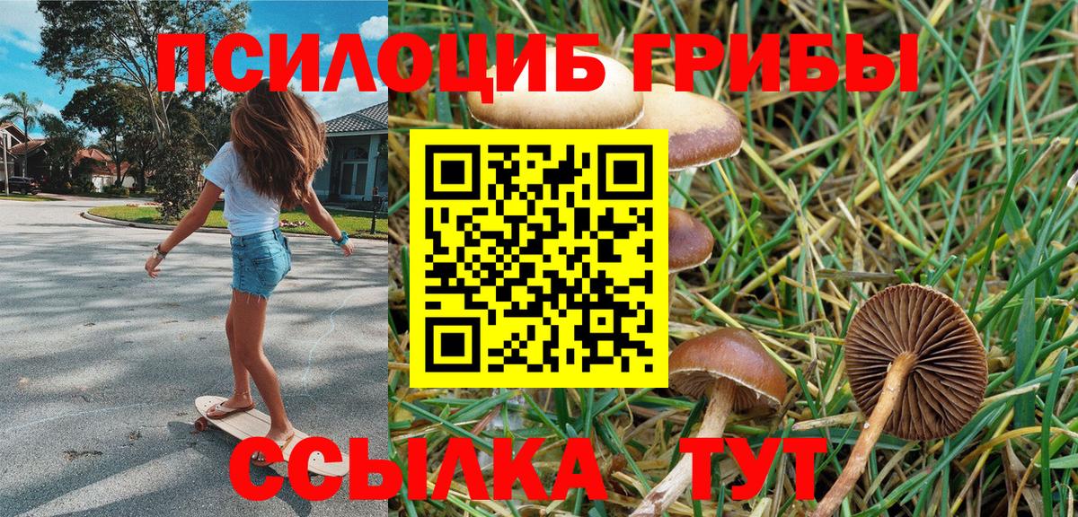 Псилоцибиновые грибы мухоморы Кубинка
