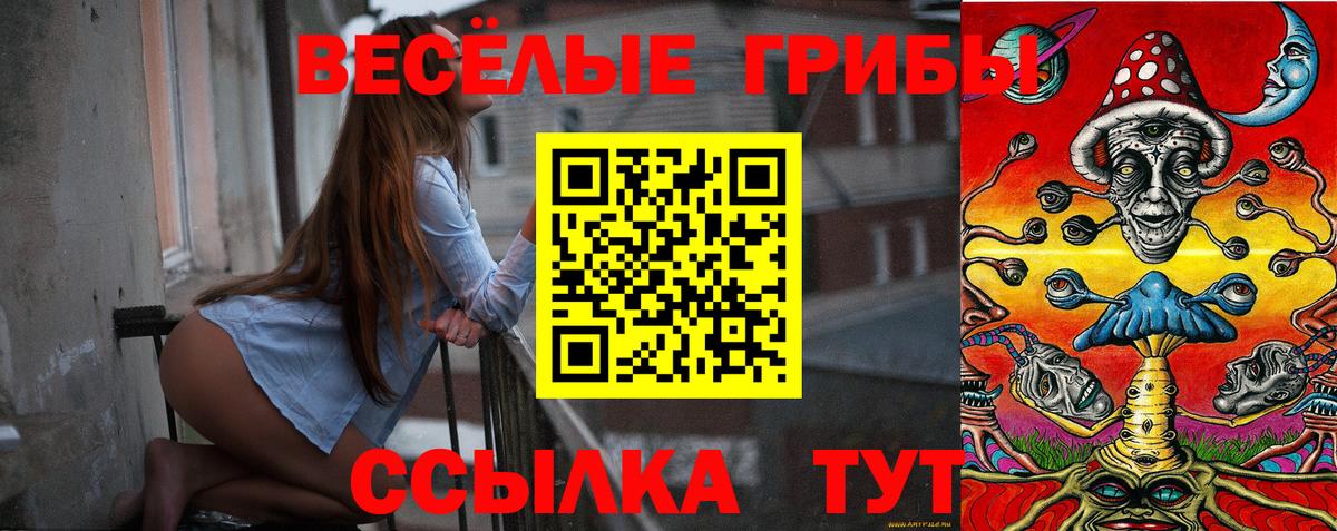 где продают наркотики  Псилоцибиновые грибы Cubensis  Вход с VPN  Кубинка 