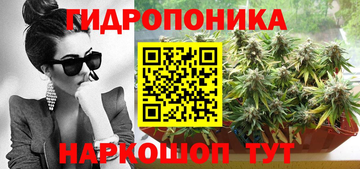 Марихуана марихуана  Вход с VPN  Бошки Шишки OG Kush  Кубинка  Шишки марихуана THC 21%  Каннабис SATIVA & INDICA 